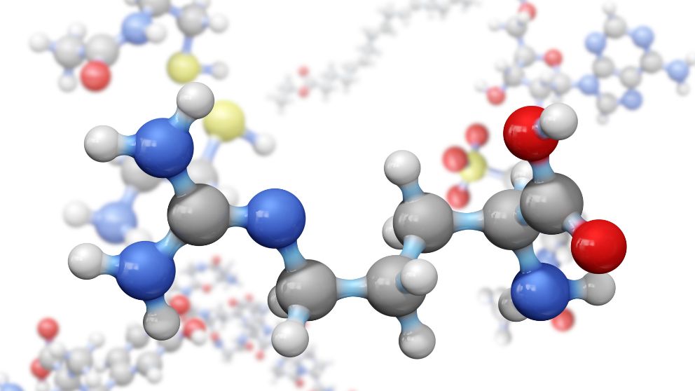 What Are Peptides? A Plain-English Guide to Peptide Therapy for Men and Women Over 35 in Southwest Florida